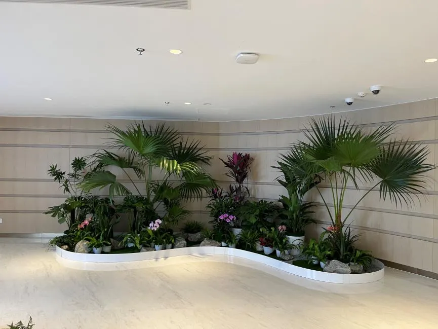 探寻余姚花卉租赁，开启精致花卉装点生活之旅